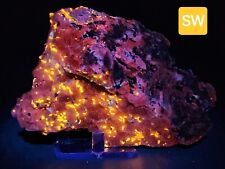 Fluorescent Hydrozincite & Wollastonite in Calcite Specimen - Sterling Hill, NJ picture