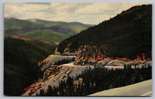 Highway Western Slope Monarch Pass Salida Gunnison Colorado Forest VNG Postcard picture