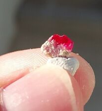RED BERYL / BIXBITE CRYSTAL TERMINATED FACET ROUGH FROM Utah, USA  picture