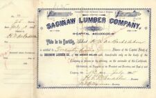 Saginaw Lumber Co. - 1895 dated Stock Certificate - Lumber Stocks & Bonds picture