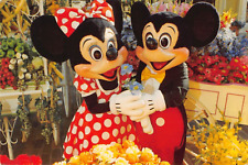 Postcard FL: Mickey & Minnie Mouse, Walt Disney World, Orlando, Florida, 4x6 picture