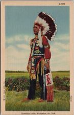 WAHPETON, North Dakota Postcard Indian Man in Full Native Dress / Curteich Linen picture