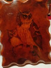 RICHARD HINGER Screech 2 Owls VTG 1970s Wood Plaque MCM Shellaced. picture