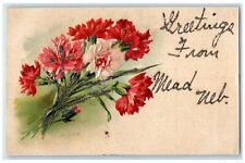 c1910's Greetings From Mead Nebraska NE Embossed Flowers And Leaves Postcard picture