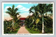 Homestead FL-Florida, Johnston's Grove, Antique, Vintage Souvenir Postcard picture