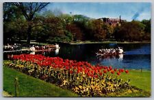 Boston Massachusetts Public Gardens Scenic Flowers Blooming Chrome Postcard picture