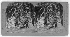 Lunch by the way-side, Dyea Trail, Alaska c1900 Old Photo picture