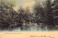 FL~FLORIDA~DELAND~A FLORIDA SPRING~MAILED 1905 picture
