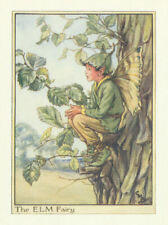 Elm Fairy by Cicely Mary Barker. Flower Fairies of the Trees c1940 old print picture