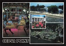 Postcard OH Cedar Point Amusement Park Horse Carousel Ride Hotel Breakers picture