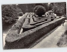 Postcard The Maze Hampton Court Palace East Molesey England picture