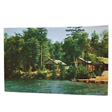 Postcard The Hedges Blue Mountain Lake New York Lakeside Cottages Chrome picture