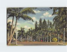 Postcard Royal Palm Way Palm Beach Florida USA picture