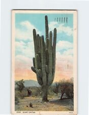 Postcard Giant Cactus, Texas picture