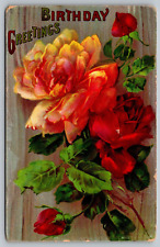 Postcard A Birthday Greetings With Pinkish And Red Roses VTG 1910  H19 picture