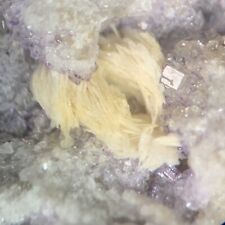 Baryte / Barite Crystal Micro Matlock Derbyshire ENGLAND UK picture