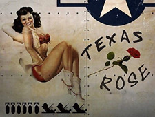 Omsigns Texas Rose Metal Sign, WWII Airplane Nose Art, Pinup Girl, Vintage Decor picture