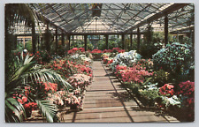 Azalea House Longwood Gardens, Kennett Square PA c1957 Postcard, DuPont Estate picture
