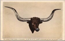 1930s SAN ANTONIO, Texas Postcard ALBERT'S BUCKHORN SALOON 