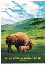 Wind Cave National Park South Dakota Poster Art Postcard  picture
