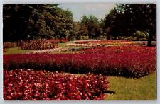Postcard: Rose Gardens, Roger Williams Park, Providence, R. I. picture