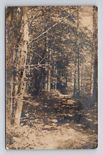 RPPC Scenic Forest Path Road Portland ME Lamson Studio Postcard picture