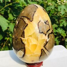 7.01lb Large Natural Septarian Dragon Stone Crystal Egg Mineral Specimen Healing picture