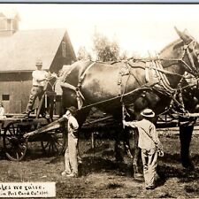 c1910s Exaggerated Mules We Raise RPPC Martin Kansas City Photo Edit Wagon A155 picture