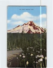 Postcard Picturesque Mt. Hood Oregon USA picture