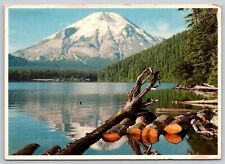 Postcard  Mt St Helens Washington Spirit Lake Lodge P re  Eruption  [ep] picture