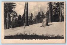 Park Rapids Minnesota MN Postcard Itasca State Park Scenic View 1926 Antique picture