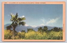 A Glimpse of California's Colorful Varied Scenery Linen Postcard No 4947 picture