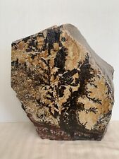 Large Dendrites ( Utah) picture