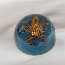VINTAGE REAL SCORPION ROUND DOME ACRYLIC LUCITE PAPERWEIGHT BLUE FELT BOTTOM  picture