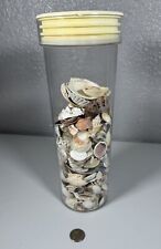3 Pounds Mixed Natural Sea Shells Crafts Aquarium DECOR Lot picture