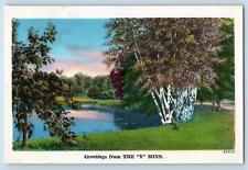 Minnesota MN Postcard Greetings From The Y Lake  Scenic View c1940's Antique picture