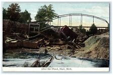 1910 After The Flood Bridge Scene Disaster Hart Michigan MI Vintage Postcard picture