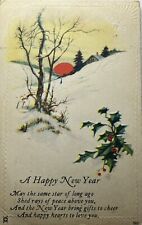 1924 A Happy New Year Winter Scene Sunrise Battle Creek MI Michigan Postcard picture