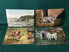 Antique SWEDISH FARM ANIMALS Postcards LOT OF 4 All Posted 1906, 1908 divided picture
