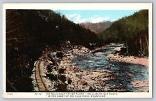Postcard North Carolina Nolichucky River Clinchfield Route Railroad Blue Ridge picture