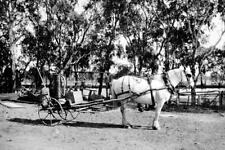 Balranald District New South Wales 1925 - A rabbit exterminator 's- Old Photo picture