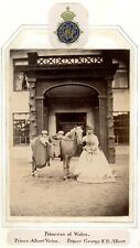 1866 albumen photograph balmoral princes George + Albert riding pony + princess picture
