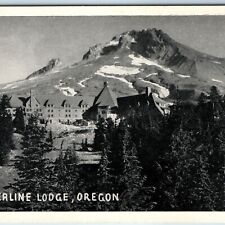 c1930s Mt. Hood, Government Camp, OR Timberline Lodge Litho Photo Print PC A244 picture
