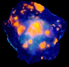2000 GM Fluorescent Top Quality Hackmanite Crystals On Matrix From Afghanistan picture