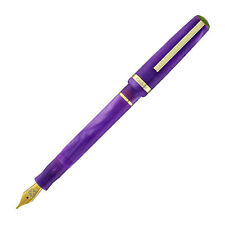 Esterbrook JR Paradise Fountain Pen in Purple Passion - Needle Point - NEW picture