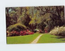 Postcard Magnolia Gardens Charleston County South Carolina USA picture