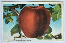 Red Apple. Greetings From Winchester Virginia Postcard. VA picture