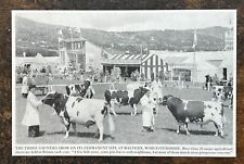 The Three Counties Show - Malvern, Worcestershire - 1963 Press Cutting r448 picture
