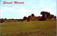 Cartersville, GA Etowah Indian Mounds Postcard Chrome Unposted picture
