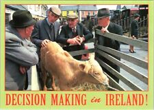 Postcard Decision Making in Ireland Cattle Market Humor picture
